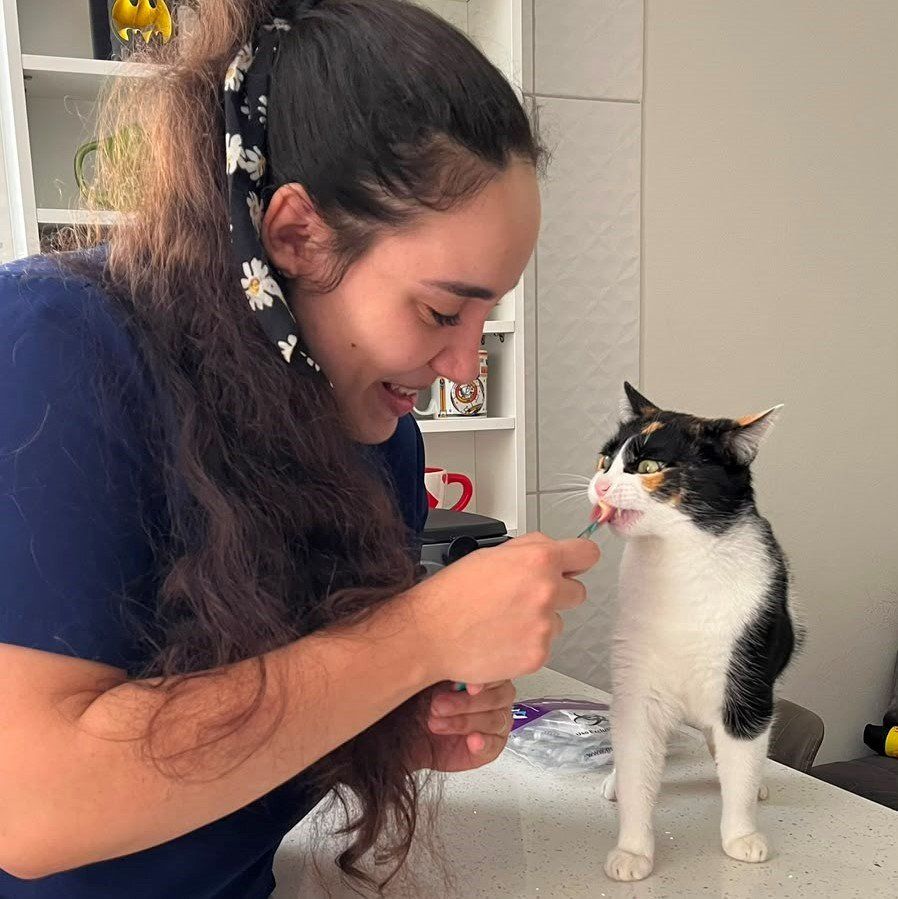 Atendimento domiciliar para cães e gatos