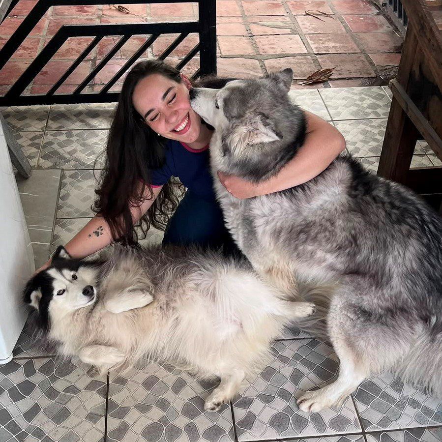 Atendimento veterinário em casa